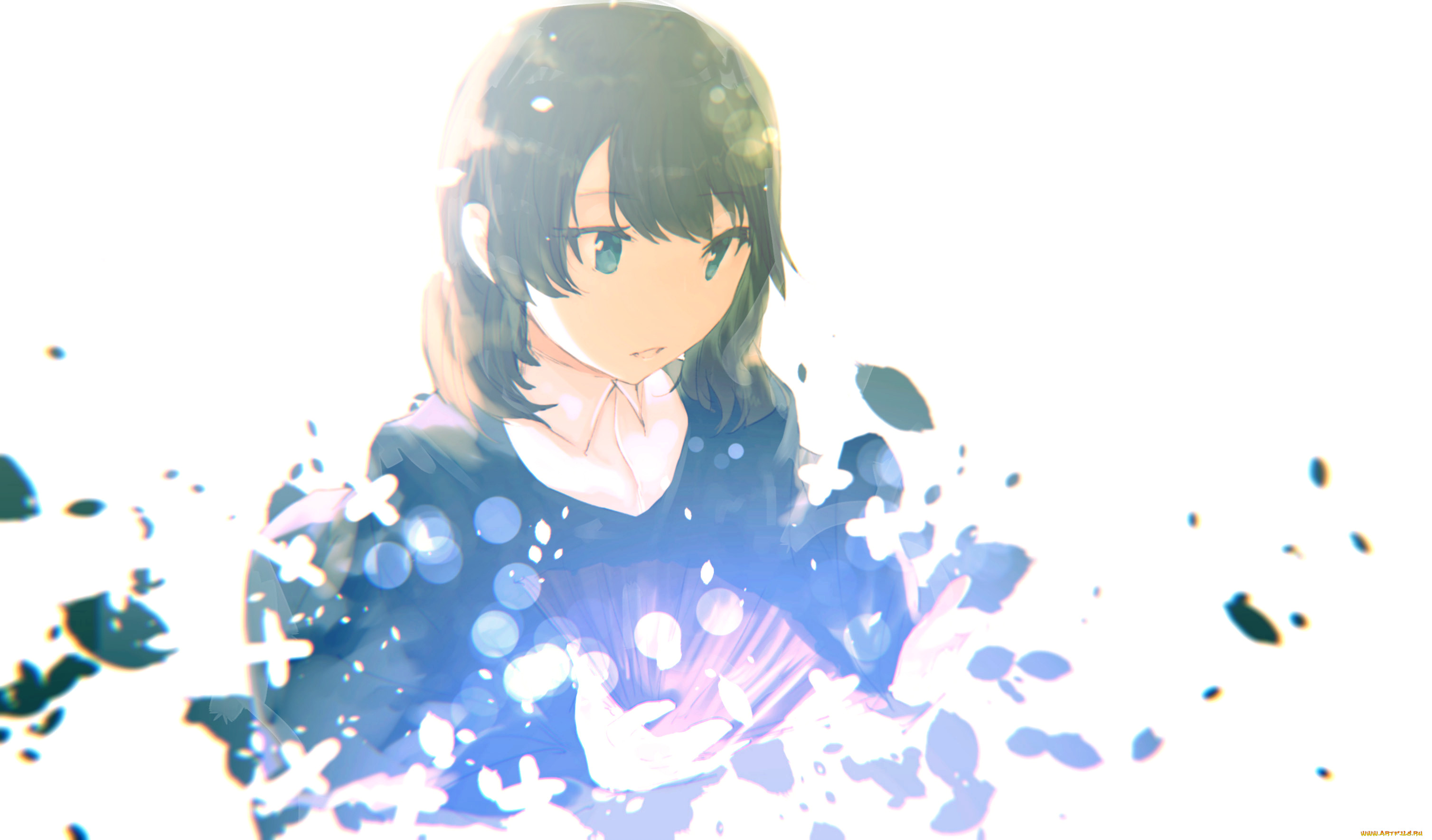 , unknown,  , 
